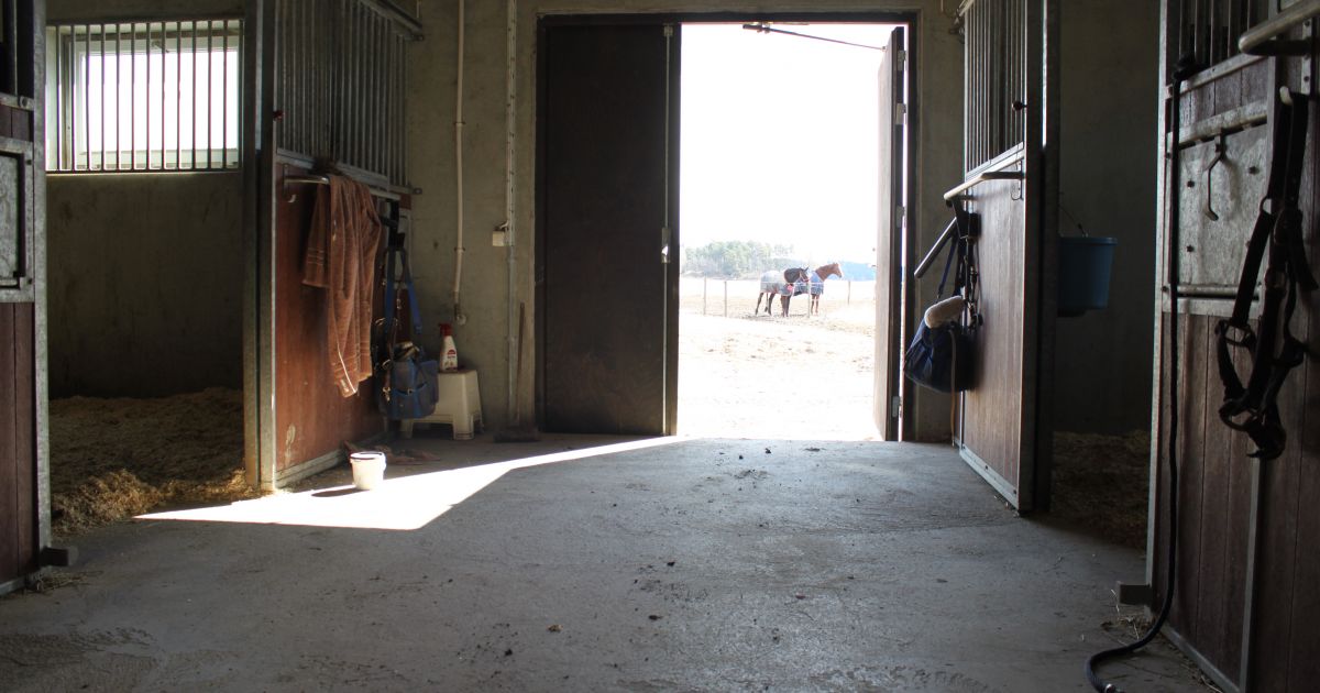 Stall Riksten Forskning: Stallmiljön påverkar både häst och människa - HästSverige