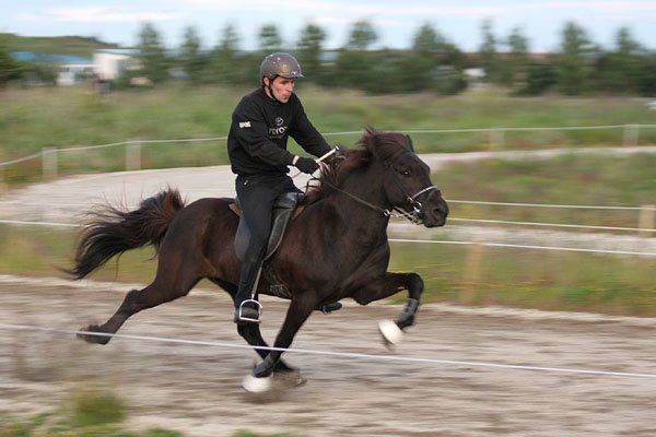 Skeikappreiar  Brvllum - 16. jl 2008