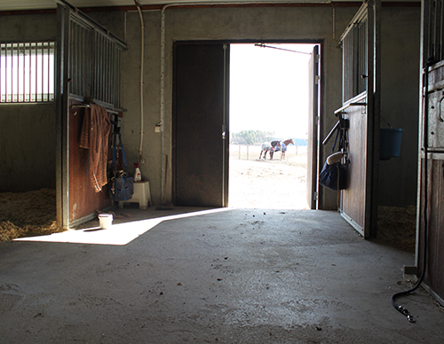 En stallgång