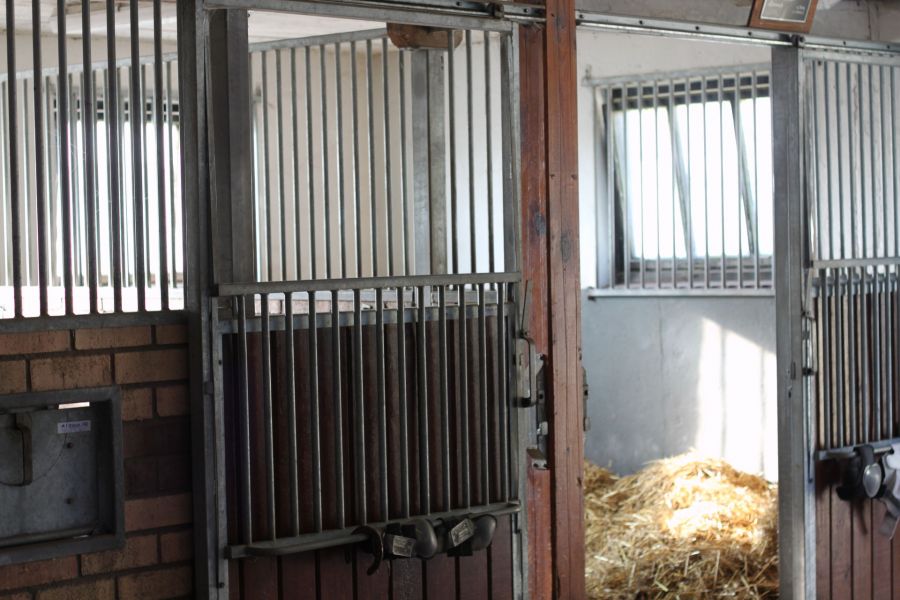 hästbox-stall-hästsverige