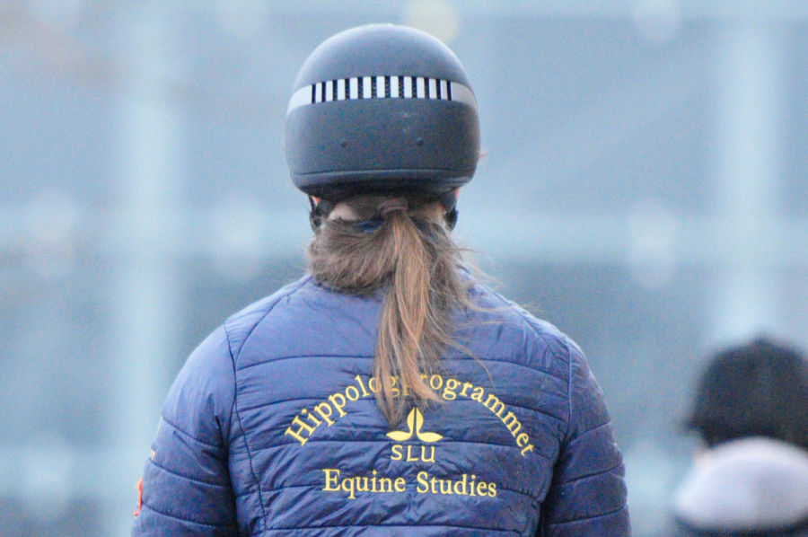 jacka med hippologprogrammet tryck