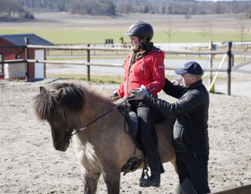 träning-islandshäst-magnus-skulason-rickebasta-fotocarinwrange