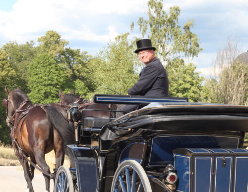 anders-eriksson-kusk-hast-korning-fotocarinwrange