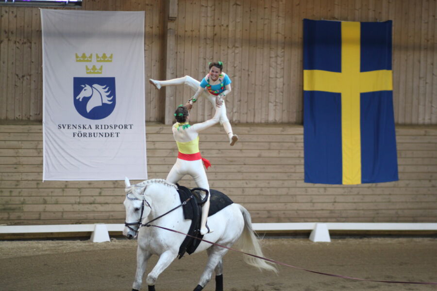 voltige-h-stsverige