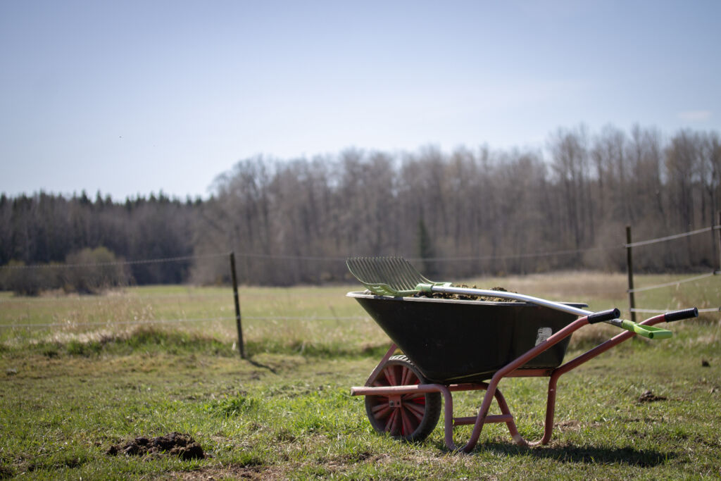 skottkärra-hästbajs-och-grep-mockning-för-parasiter