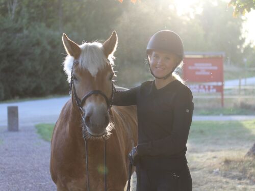 hästhantering hästsverige