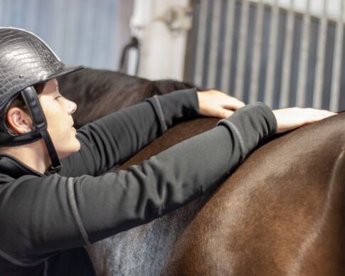 daglig-hälsokontroll