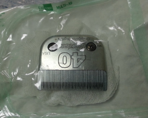 foto kerstin bergvall54