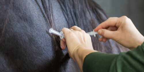 vaccination HEADER