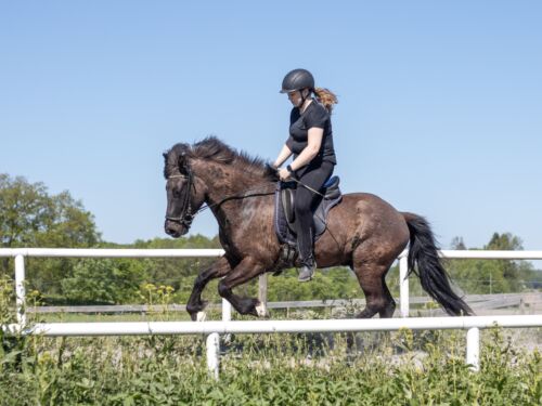 fc1a4fc2-1c26-4ebc-8a9c-e25f647be693