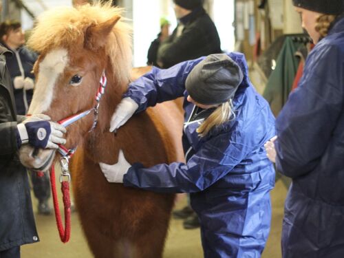 kvarka_foto_eleanor_haking1100x73343