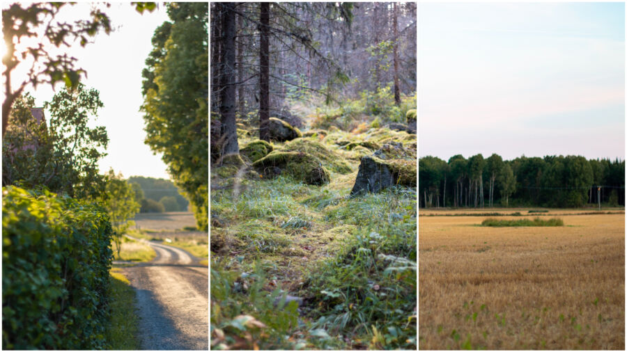 FotoJet - 2024-09-08T134651.412